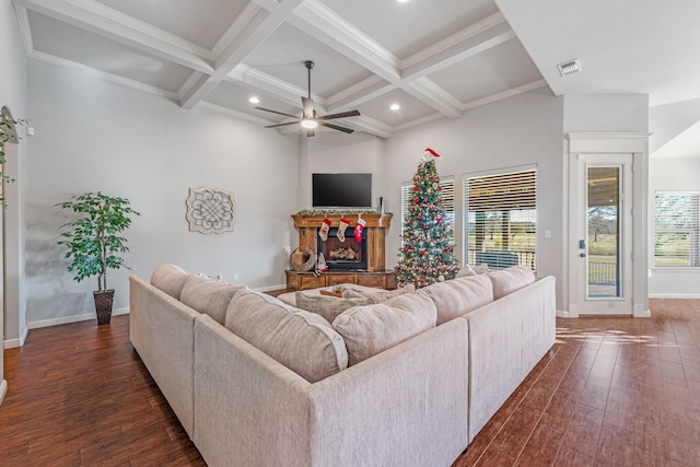 living room featuring ceiling fan, coffered ceiling, a healthy amount of sunlight, and dark hardwood / wood-style floors