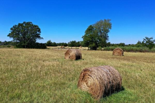 Listing photo 3 for 0000 County Road 2537, Quinlan TX 75754