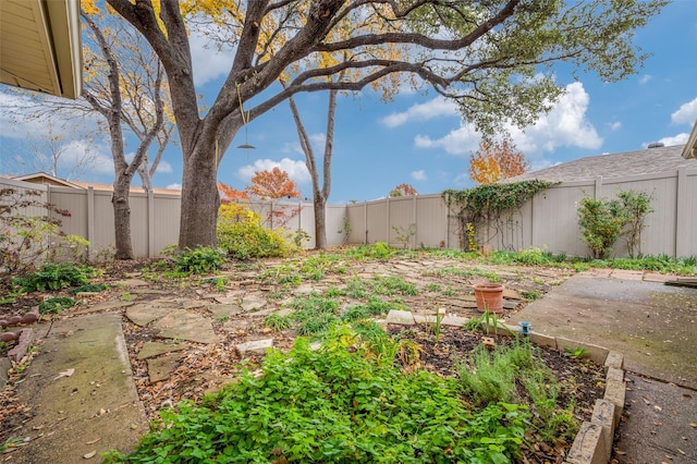 view of yard featuring a patio