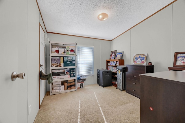 office area featuring crown molding, a textured ceiling, and light carpet