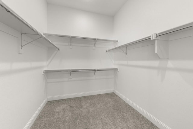 216 Hope Orchards, Lavon, TX 75166 - spacious closet with carpet