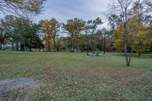 view of community featuring a yard