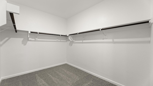 walk in closet with light colored carpet