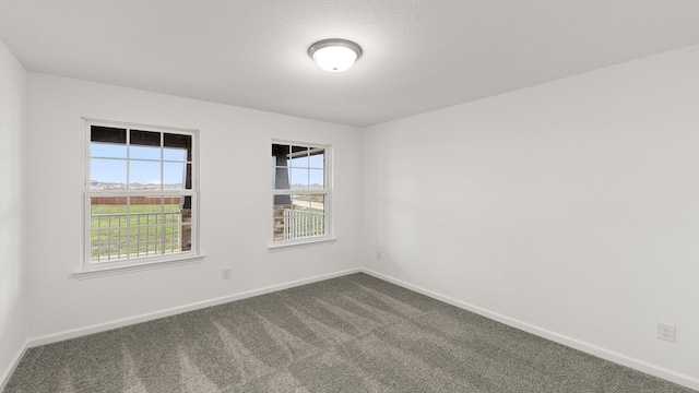 empty room featuring a wealth of natural light and carpet