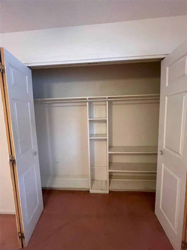 view of closet