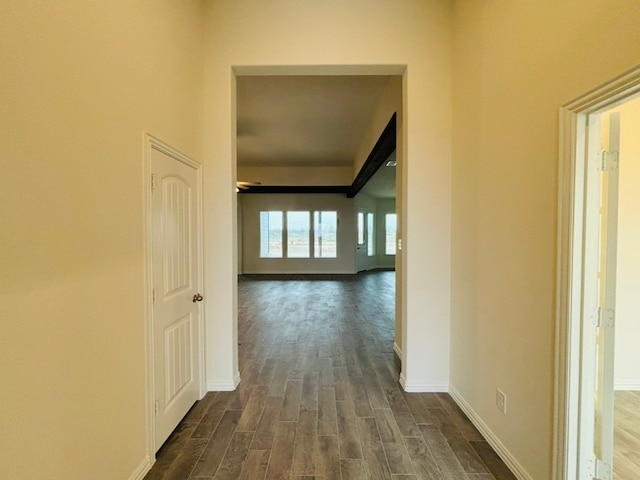 corridor featuring dark hardwood / wood-style flooring