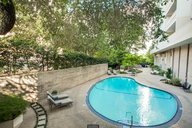 view of pool featuring a patio