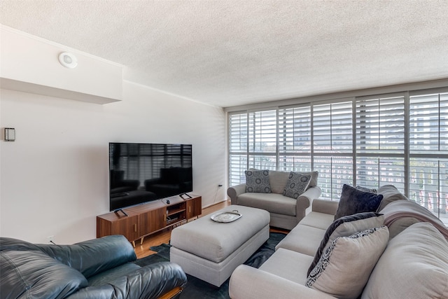 living room featuring hardwood / wood-style floors and a textured ceiling