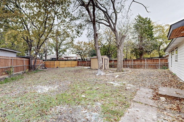 view of yard featuring a shed