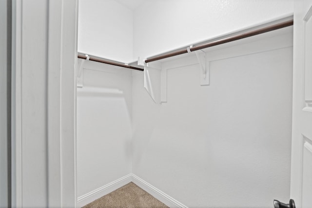 walk in closet with carpet