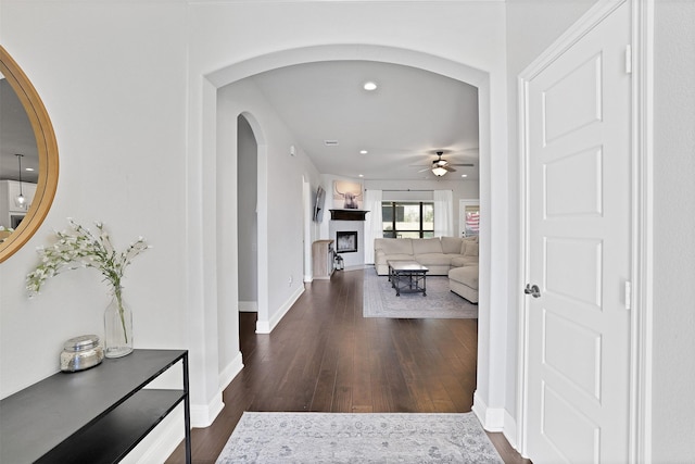 corridor featuring dark hardwood / wood-style flooring