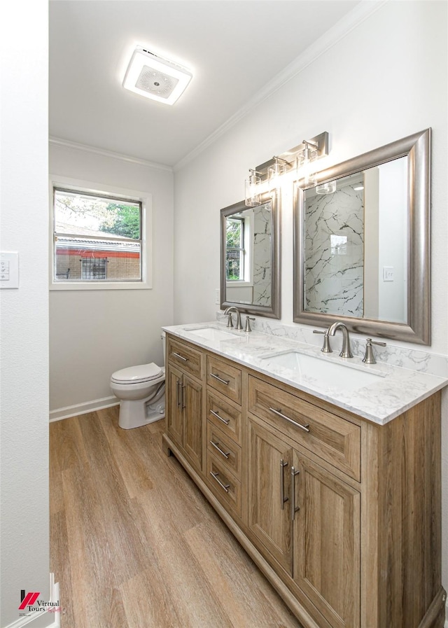 bathroom featuring a healthy amount of sunlight, crown molding, vanity, and wood-type flooring