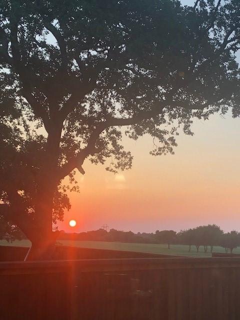 view of nature at dusk