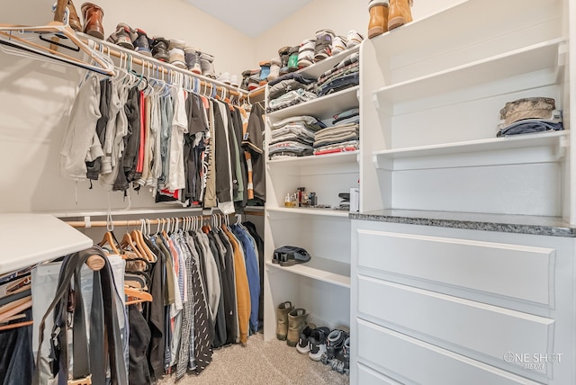 spacious closet featuring carpet