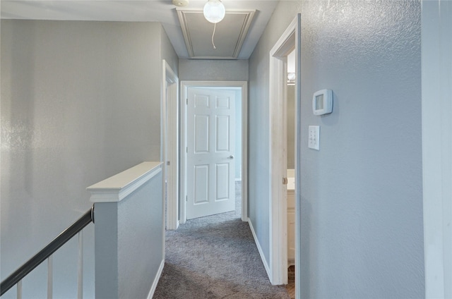 hallway with carpet flooring