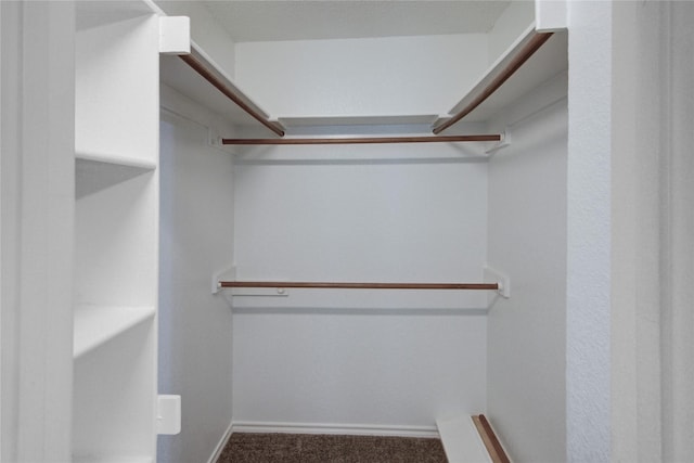 spacious closet with dark colored carpet