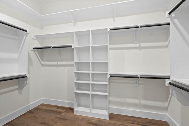 walk in closet featuring dark hardwood / wood-style floors and a barn door