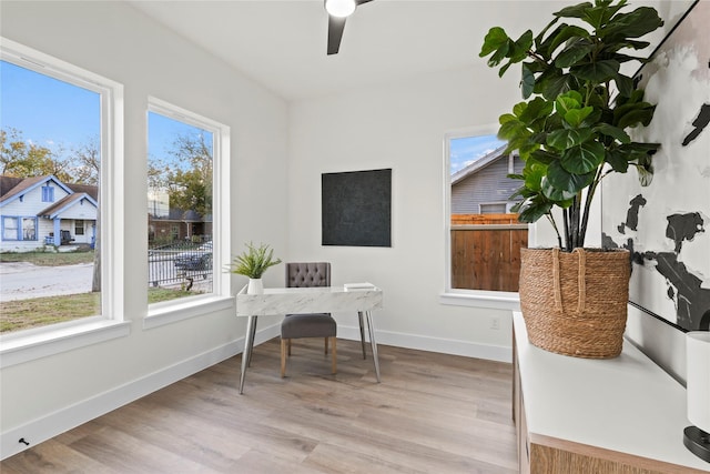 office area featuring light hardwood / wood-style flooring and ceiling fan