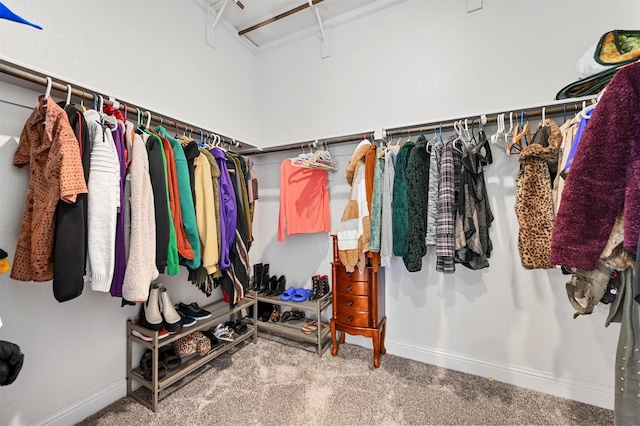 walk in closet with carpet flooring