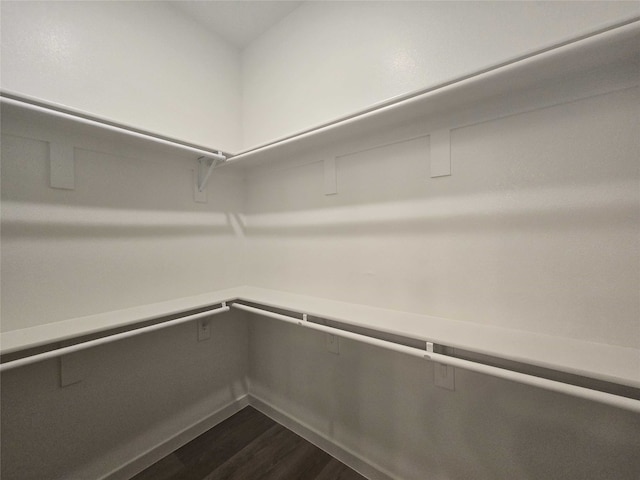 walk in closet with dark hardwood / wood-style flooring