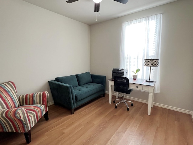 office featuring ceiling fan and light wood-type flooring