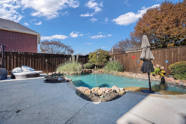 view of swimming pool with a patio