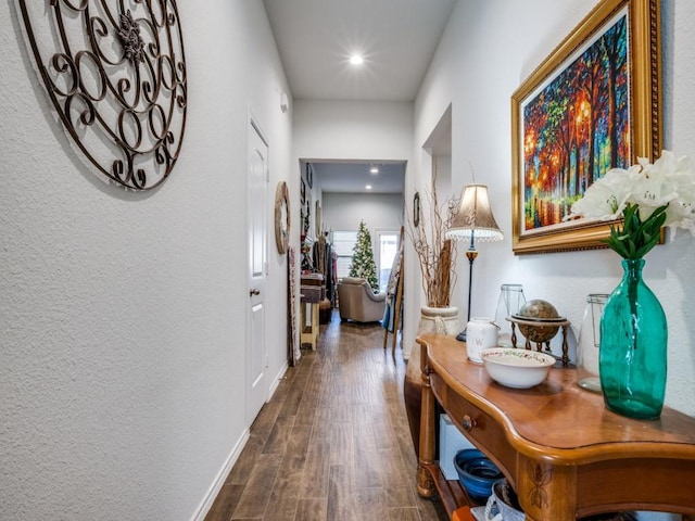 hall featuring dark hardwood / wood-style flooring