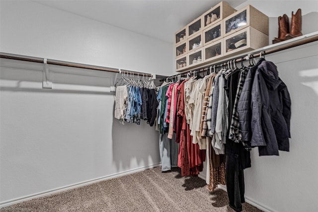 spacious closet with carpet flooring