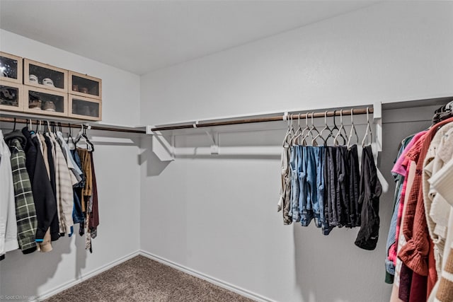 walk in closet with carpet floors