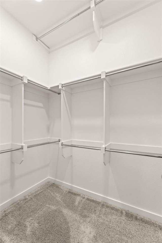 spacious closet with carpet flooring