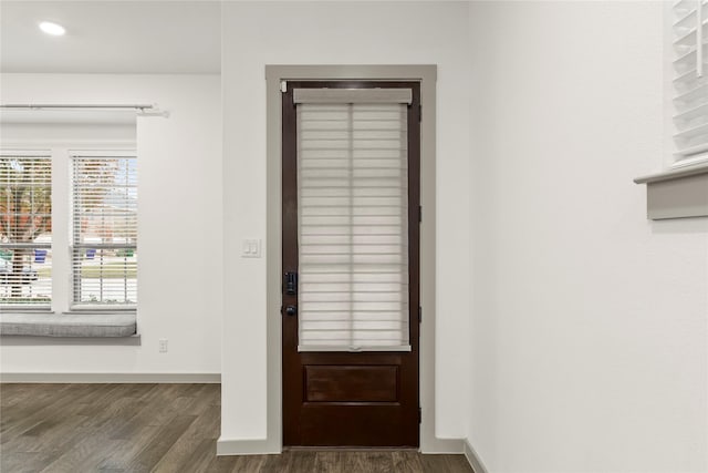 entrance foyer with dark hardwood / wood-style floors