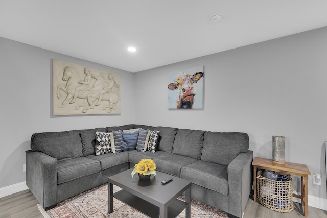 living room featuring light hardwood / wood-style flooring