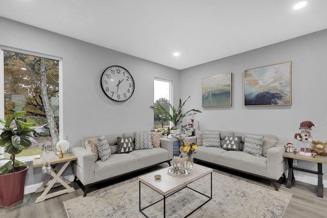 living room with light hardwood / wood-style flooring