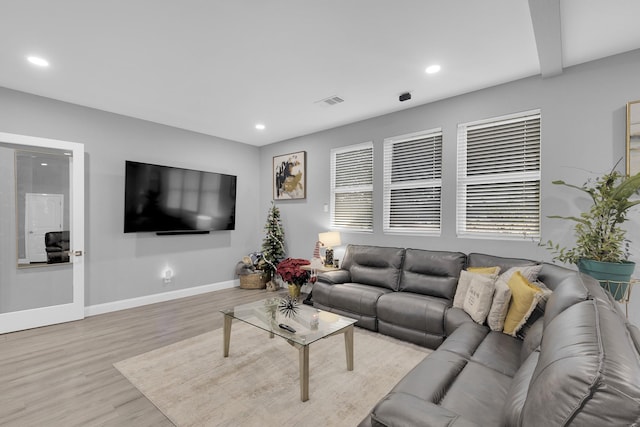 living room with light hardwood / wood-style flooring