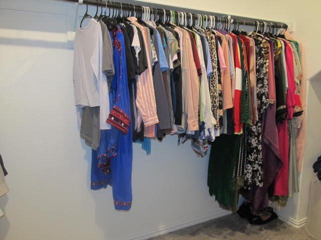 spacious closet with carpet