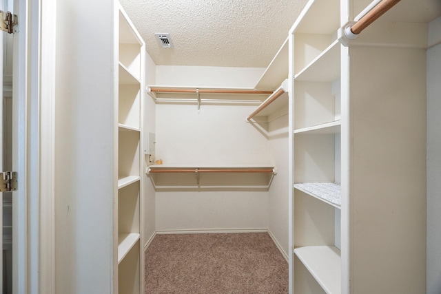 walk in closet with carpet floors