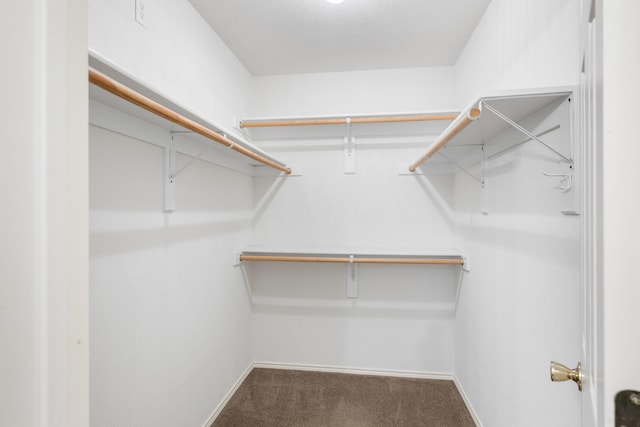 spacious closet with dark colored carpet