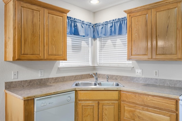 kitchen with white dishwasher and sink