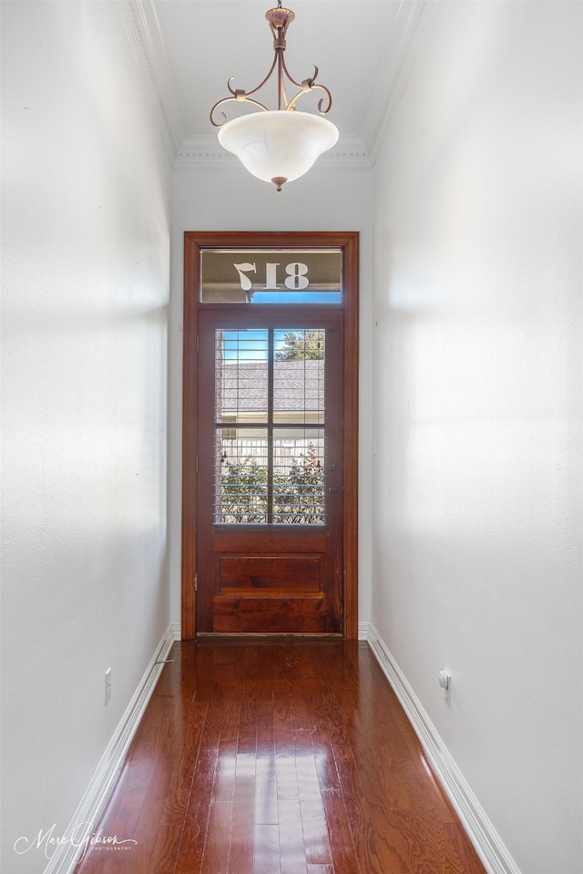 doorway featuring crown molding and dark hardwood / wood-style floors