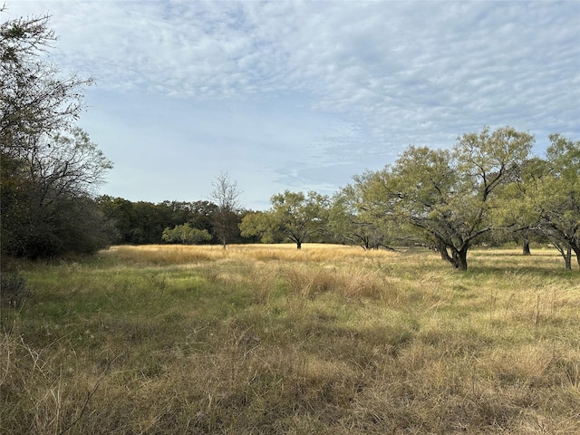 view of nature with a rural view