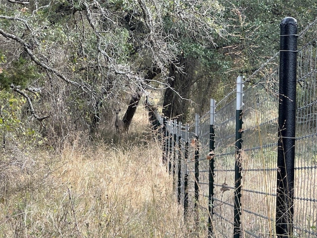 view of local wilderness