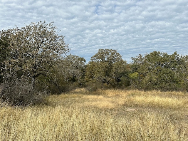 view of nature