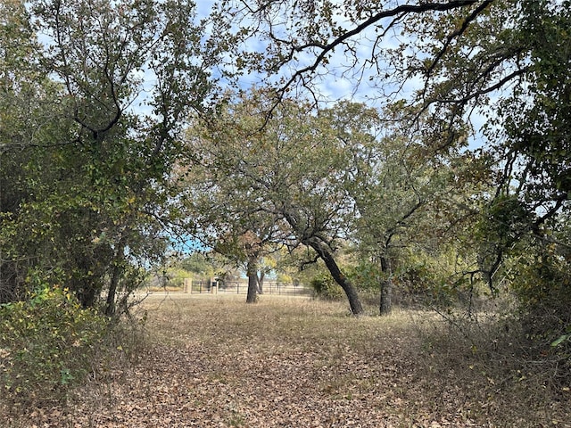 view of landscape