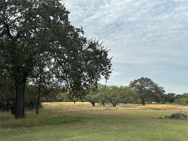 view of landscape with a rural view