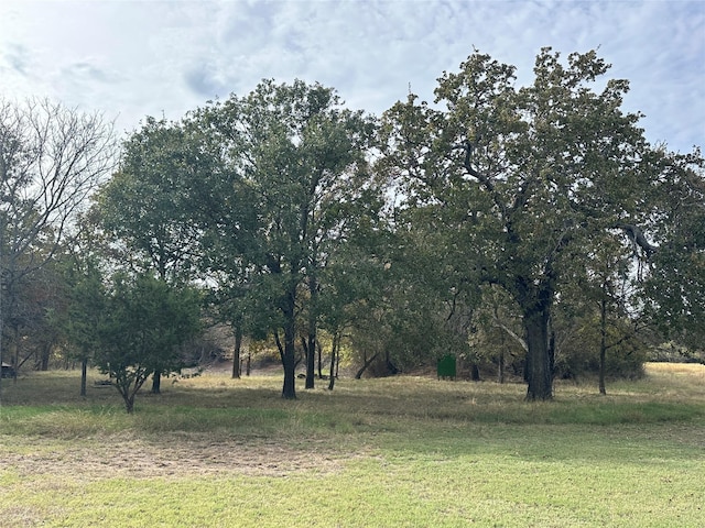 view of local wilderness