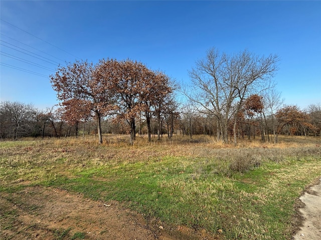 795 Deer Path, Copper Canyon TX, 75077 land for sale