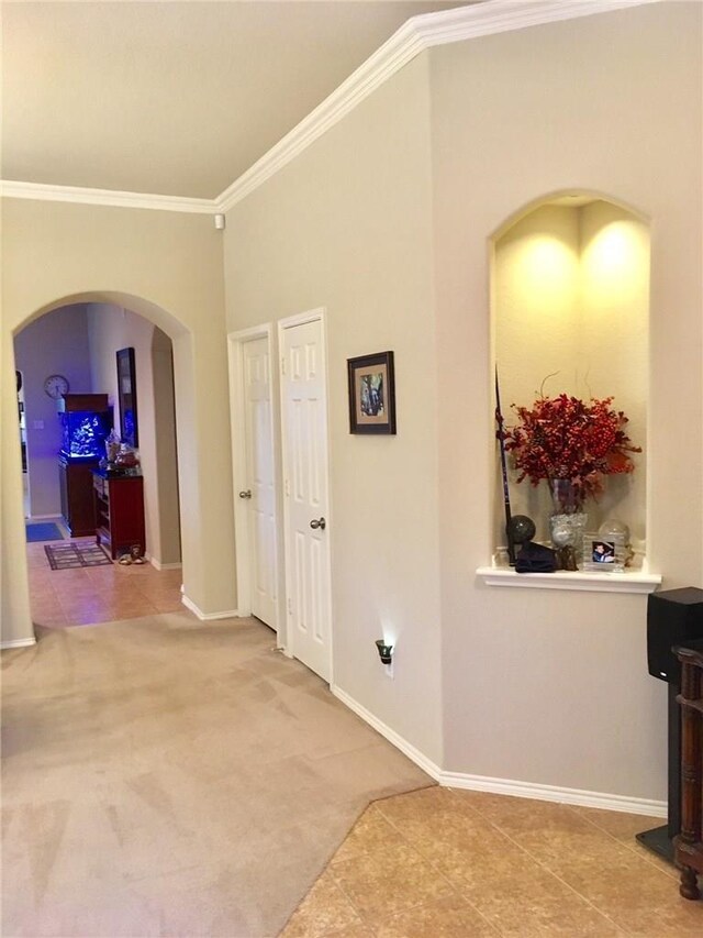 hallway featuring crown molding and carpet floors