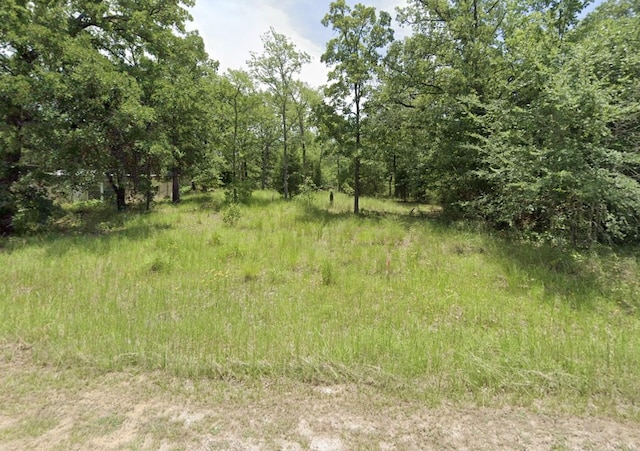 0 San Jacinto Dr, Log Cabin TX, 75148 land for sale