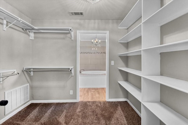 3529 Bennett Ln, Sherman, TX 75092 - walk in closet with a notable chandelier, carpet, and visible vents
