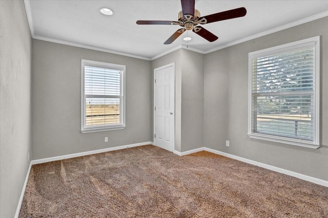 unfurnished bedroom featuring ceiling fan, carpet floors, and ornamental molding